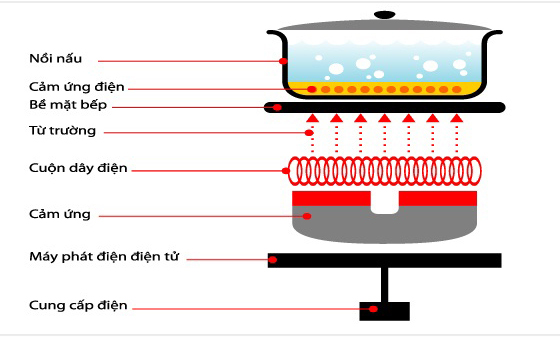 Bếp điện hồng ngoại nguyên lý hoạt động và cấu tạo