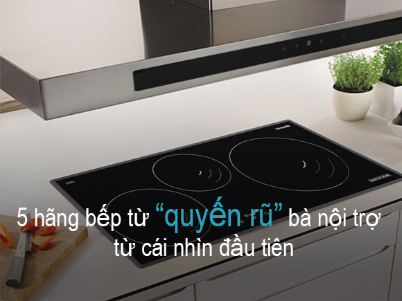 Top 5 thương hiệu bếp từ “quyến rũ” bà nội trợ từ cái nhìn đầu tiên.