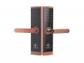 Khóa cửa thông minh Kassler KL-567 COPPER