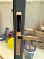Khóa vân tay cửa nhôm Kassler KL599TD Gold PIN SẠC