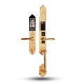 Khóa cửa đại sảnh Demax EL986 GOLD ID APP WIFI