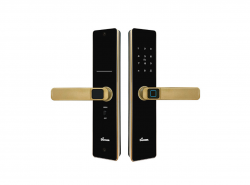 Khoá cửa gỗ thông minh Demax SL-C320 CG APP WIFI