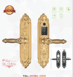 Khóa vân tay đại sảnh Kassler KL-919 Pro Gold