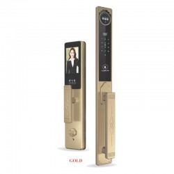 Khóa vân tay Kassler KL-968 CNC GOLD