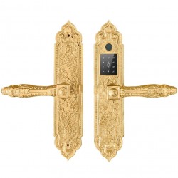 Khóa biệt thự Demax EL350 24K GOLD WIFI