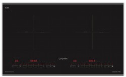 Bếp từ Dann DS-IB990 Pro