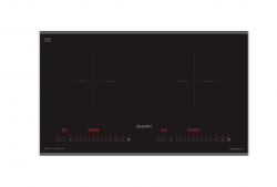 Bếp từ Dann DS-IB990 Pro