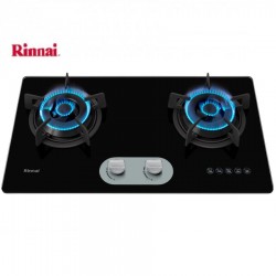 Bếp gas Rinnai RVB-220G(BG)