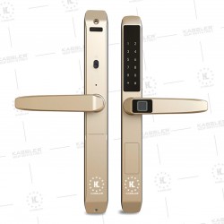 Khóa vân tay cửa nhôm Kassler KL599TD Gold PIN AA